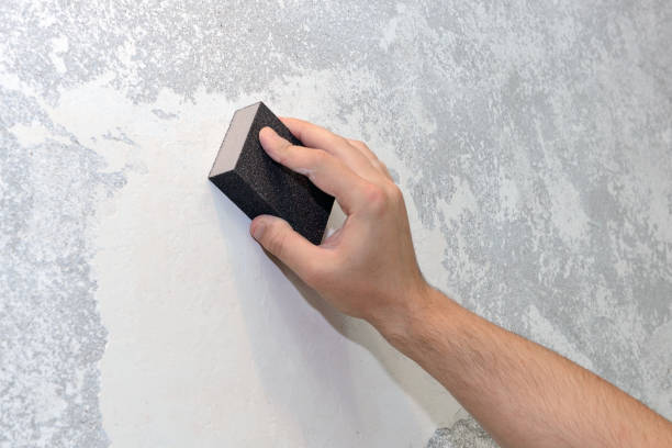 Best Dehumidification Services  in Altamont, TN