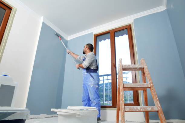 Best Basement Mold Removal  in Altamont, TN