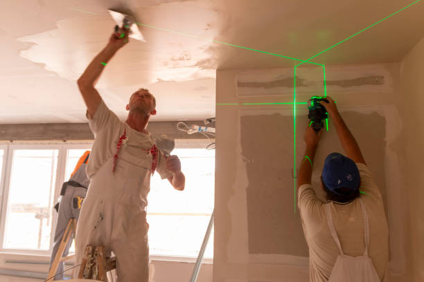 Trusted Altamont, TN Mold Removal Experts
